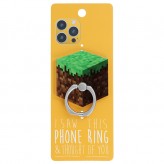 Minecraft - I Saw This Phone Ring