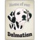 Dalmatian - Pet Sign