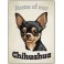 Chihuahua - Pet Sign
