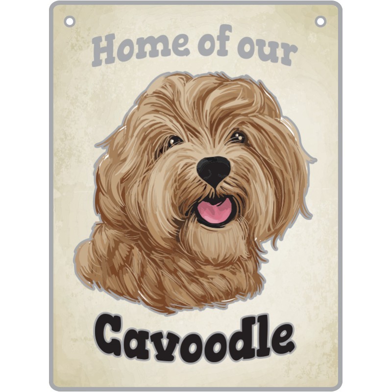 Cavoodle - Pet Sign