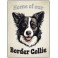 Border Collie - Pet Sign
