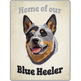 Blue Heeler - Pet Sign