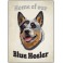 Blue Heeler - Pet Sign