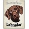 Labrador, Chocolate - Pet Sign