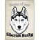 Siberian Husky - Pet Sign