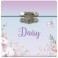 Daisy - My Musical Jewellery Box