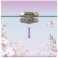 I - My Musical Jewellery Box