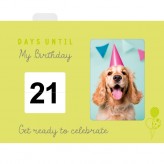 The Countdown Box Pack