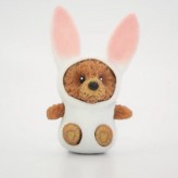 Bunny - Bear Lala