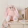 Softies Pack